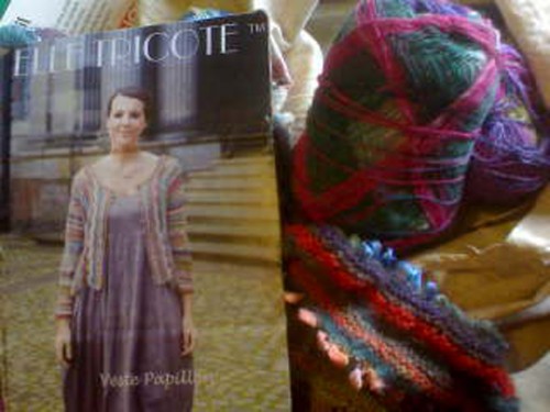 papillon, kit, elle tricote, tricot, veste, cardigan, laine, coton, 