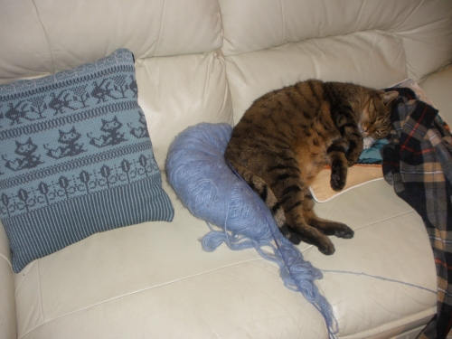 laine, tricot, coussin, chat, cats, pillow, knitting machine, machine à tricoter,