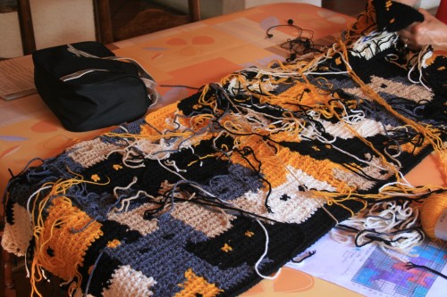 chat, crochet, couverture, blanket, cat,